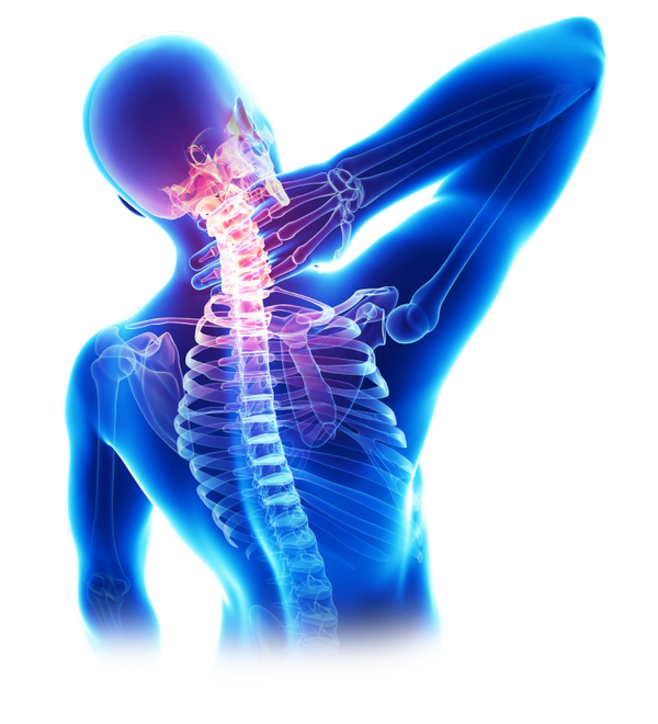 HEALTH FULL Background